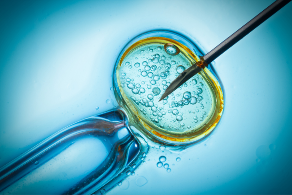 Read more about the article Understanding Infertility and IVF Treatment Options