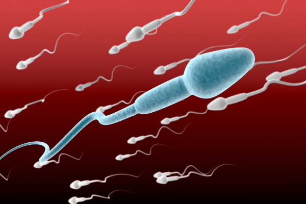 Read more about the article Major signs of unhealthy sperm