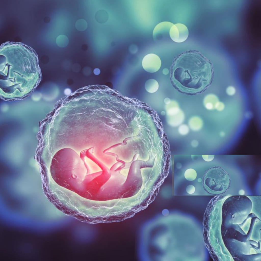 Human fetus on scientific background, illustrating the development stages in IVF.