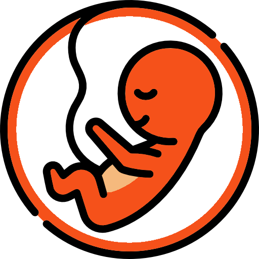 Intrauterine Insemination (IUI)