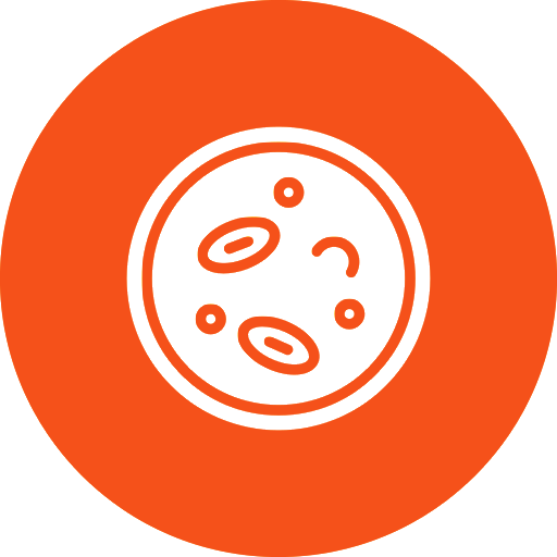 Oocyte Donation